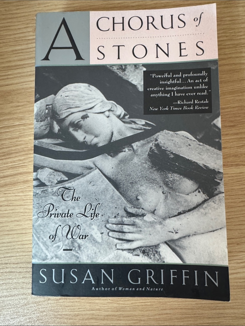 A Chorus of Stones by Susan Griffin